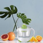 Royal Swiss – 1.2L Citrus Juicer – Bild 6